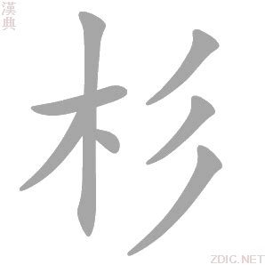 杉意思|杉字的解释